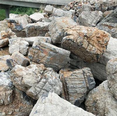 南召山河園林實業簡介