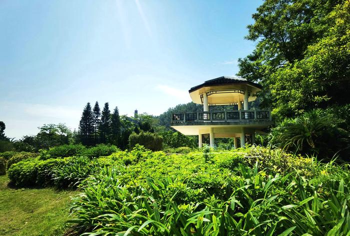 真實的綠野仙蹤!廣州拍照野餐圣地,像童話世界,地鐵直達無門票