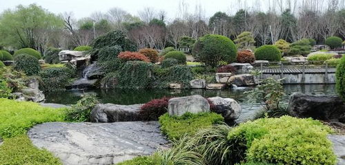 獨具南北園林特色兩千畝精品公園西安中園唐苑免費開放