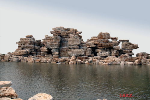 經(jīng)濟(jì)學(xué)家張維迎吁堅(jiān)信市場經(jīng)濟(jì) 勿走向 共同貧窮