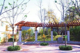 優(yōu)中選優(yōu)市中拆違建綠 十大精品 出爐 真金白銀最美 口袋公園 獎(jiǎng)勵(lì)30萬(wàn)元