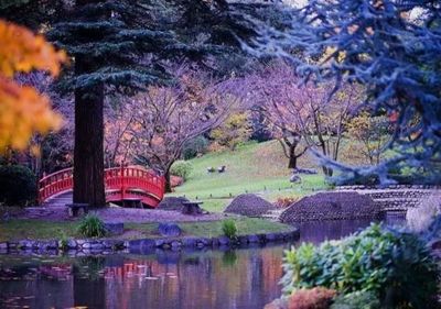 日本庭園火遍全球,可與中國(guó)園林媲美