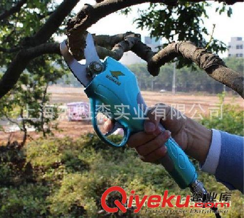 電動園藝剪刀 電動剪刀、果樹電動修枝剪批發、園林園藝修枝剪批發、樹枝修剪機圖片|電動園藝剪刀 電動剪刀、果樹電動修枝剪批發、園林園藝修枝剪批發、樹枝修剪機產品圖片由上海杰魁森實業公司生產提供-