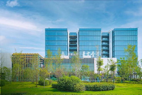 龍湖商業(yè)牽手馬廠(chǎng)壩tod,青羊新城新增15萬(wàn)方商業(yè)綜合體