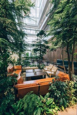 安泰實業(yè)官宣--上水咖啡品牌正式成立!