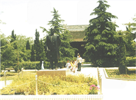 江南園林中的實業傳奇：張謇的文化印記